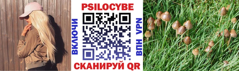 blacksprut рабочий сайт  закладка  Кораблино  Галлюциногенные грибы Psilocybine cubensis 